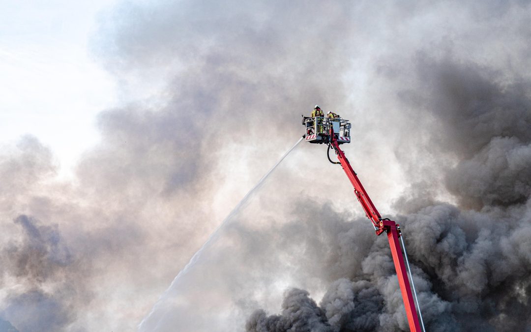 Dinas Damkar Kabupaten Semarang Hapus Sarang Tawon di Kebun Warga